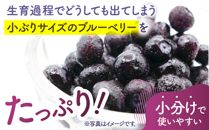 【3回定期便】【訳あり】 冷凍ブルーベリー 小粒 約2kg（約500g×4pc） 【すみれファーム】 [ZEP050]