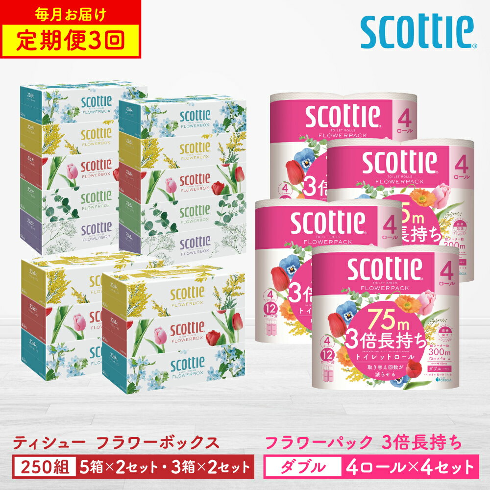 【ふるさと納税】【定期便3回】【毎月1回お届け】【スコッティ】ティシュー フラワーボックス 250組（5箱P×2セット・3箱P×2セット）＋フラワーパック 3倍長持ち（4ロール(ダブル)パック×4セット）ティッシュ トイレットペーパー