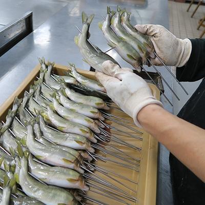 ふるさと納税 多気町 鮎甘露煮 12尾セット(若鮎・本鮎・子持 各4尾) |  | 03