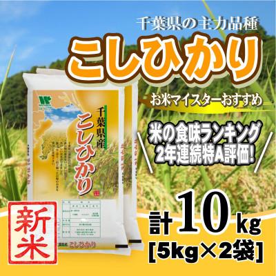 ふるさと納税 大網白里市 【新米 令和8年産】【特A評価】千葉県産「コシヒカリ」精米 10kg(5kg×2袋)