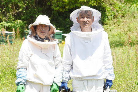 【数量限定】2023年産 国産天然蜂蜜（春の蜜）500g & 470g　(H049114)