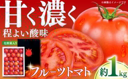 Lisa リサフルーツトマト 約1kg 〈2026年1月上旬～2026年5月末頃発送〉 【株式会社　堀】 [ATDA008]