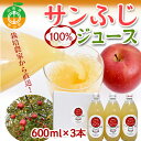 【ふるさと納税】山形県中山町産 サンふじりんご100%ジュース 600ml×3本 令和6年産のりんご使用 2024年12月上旬より発送開始 渡辺ファーム リンゴ 林檎 飲料 山形県産 フルーツ 果物 くだもの F4A-0360