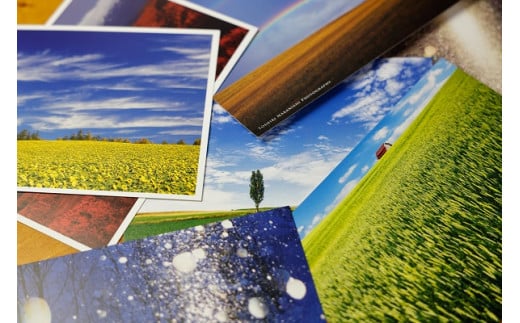 写真家 中西敏貴 ポストカード 10種類[006-12]