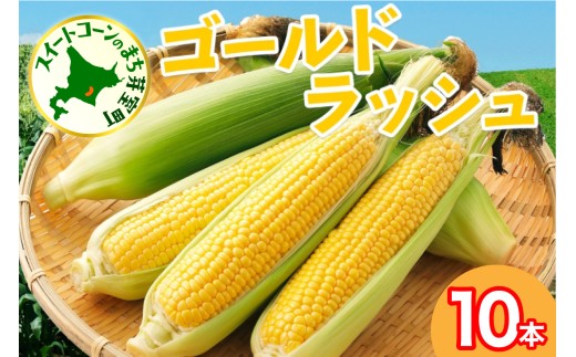 【先行受付】【2026年7月下旬～8月上旬頃配送】北海道十勝 芽室町産 朝獲れ とうもろこし ゴールドラッシュ10本　me035-026c-26