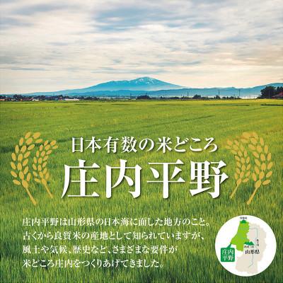 ふるさと納税 酒田市 【毎月定期便】山形県の米どころ庄内平野で育った庄内米　はえぬき5kg全3回 |  | 01