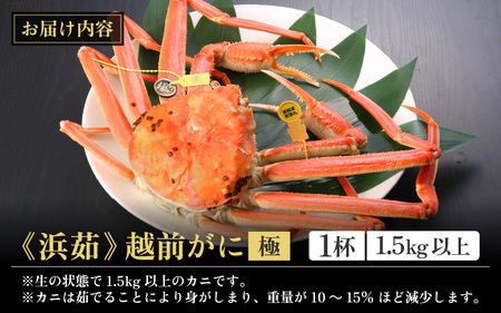 ≪浜茹で≫越前がに 極（生で1.5kg以上） × 1杯【雄 ズワイガニ 越前ガニ 姿 ボイル 冷蔵 かに カニ 蟹 福井県】【3月発送分】希望日指定可 備考欄にメールアドレスをご記入ください [e43
