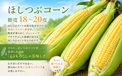 【令和9年産先行予約】とうもろこし（ほしつぶコーン）20本 定期便 2回 黒木農場