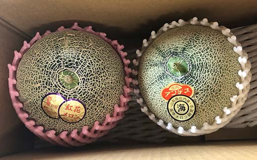 【2027年先行予約】 庄内メロン 紅白セット 2玉 3Lサイズ 2.6kg 白肉メロン 赤肉メロン 白肉 赤肉 デザート フルーツ 果物 くだもの 果実 食品 山形県 FSY-0585