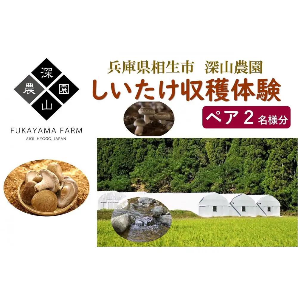 【兵庫県相生市】深山農園の 「収穫体験ペアチケット」