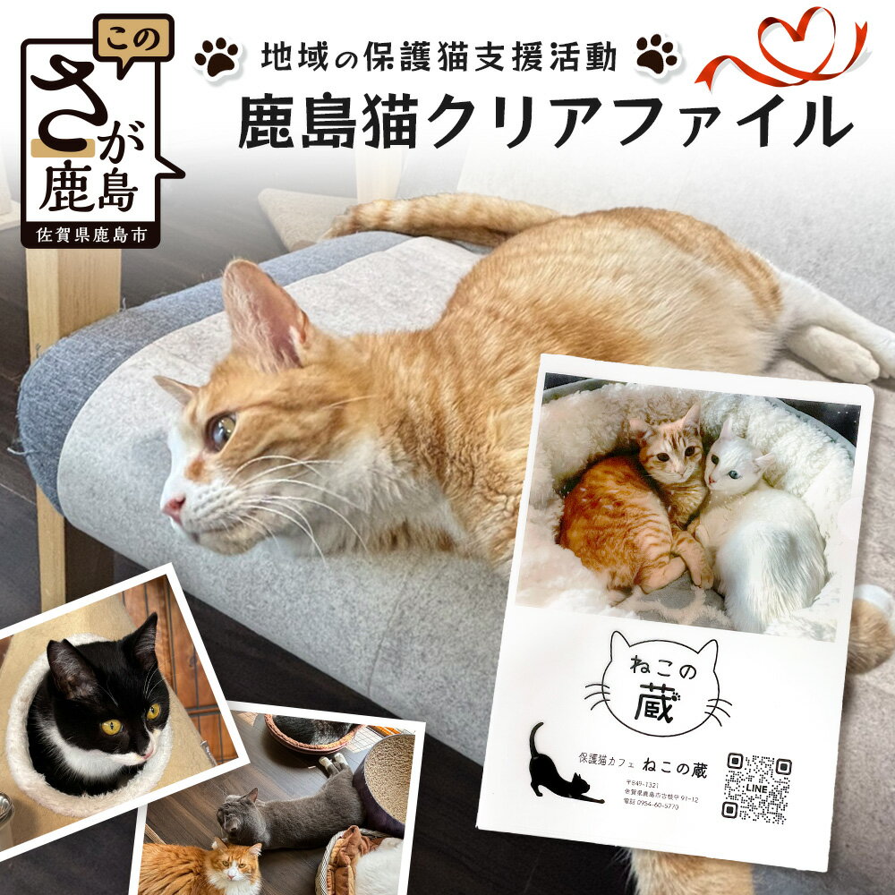 【ふるさと納税】鹿島猫クリアファイル｜保護猫カフェねこの蔵 クリアファイル 保護猫 猫 古民家カフェ 支援 鹿島市 猫カフェ カフェ プレゼント　AA-63