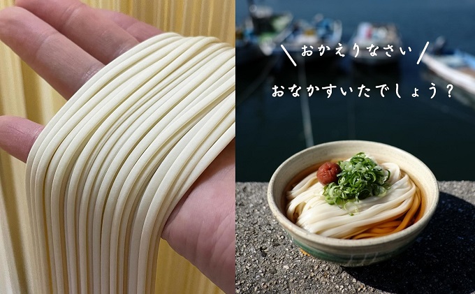 讃岐うどん あさひうどん 太口 45人前 乾麺 250g × 15袋 平麺 ひらめん さぬき 讃岐 香川県産 1等級小麦 自然乾燥 コシ 麺類 うどん さぬきうどん 太口うどん 乾麺うどん かけうどん ざるうどん ぶっかけ 常温 保存食 香川県 観音寺市