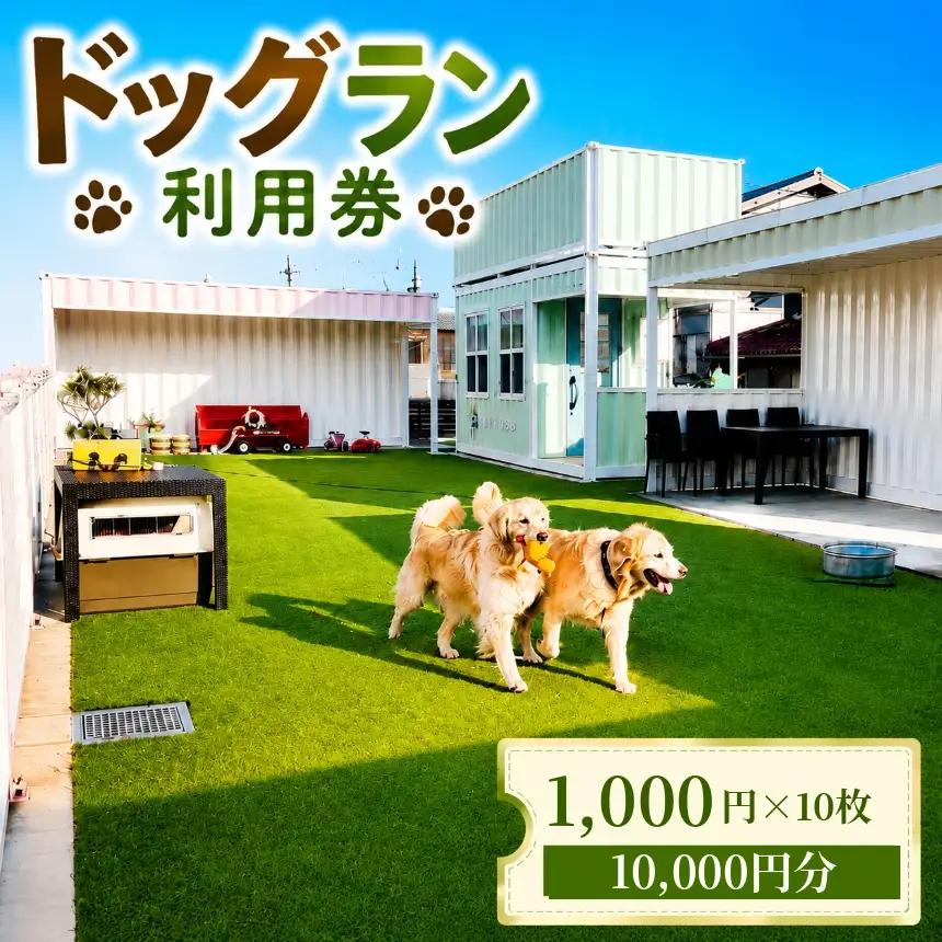 ドッグラン利用券（10,000円分）｜ドッグラン cocoronlife