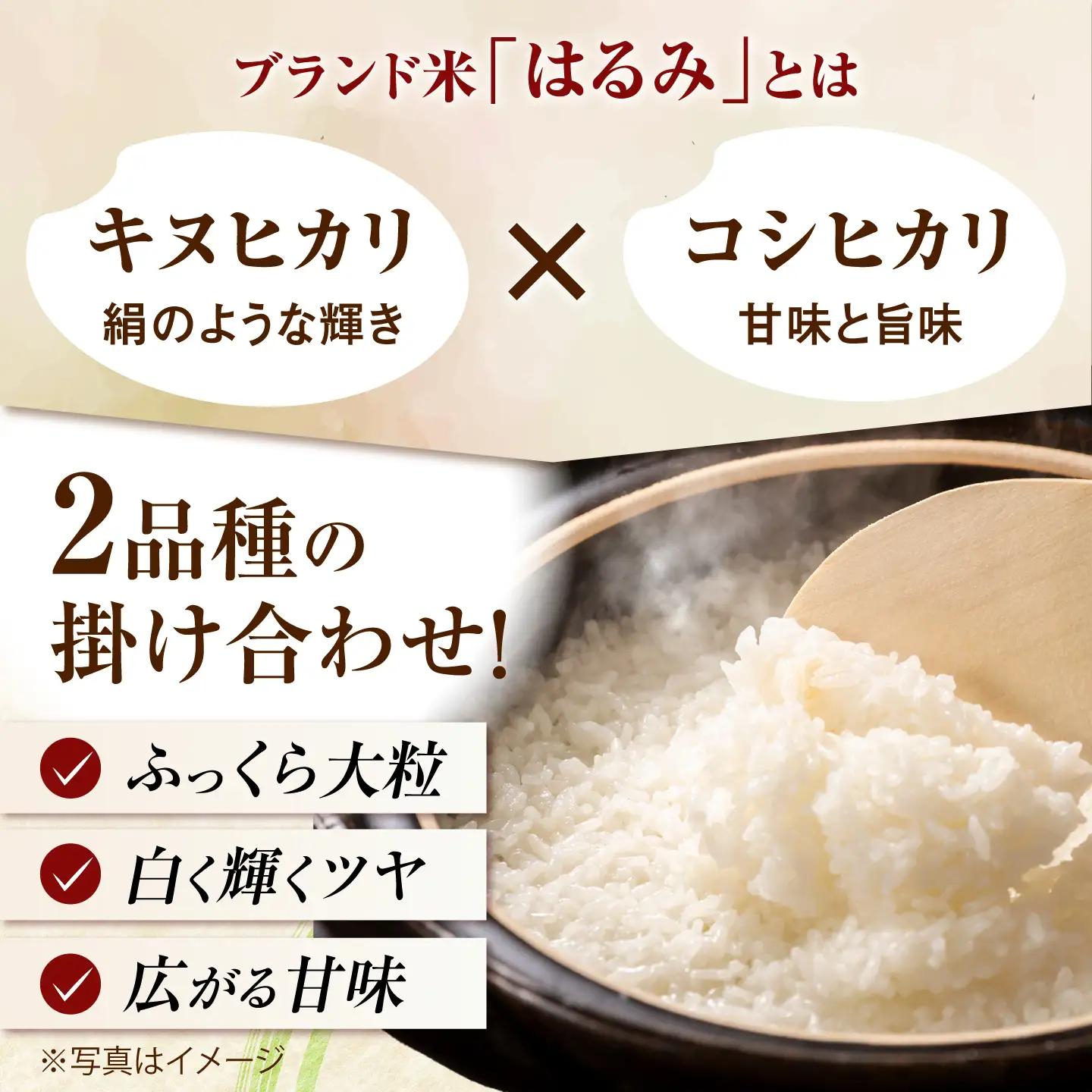 【全5回定期便】【特Aランク受賞実績あり！】はるみ 10kg　【遠藤ファーム】開成町 米 ご飯 白米 お米 特A[BDAF006-6]