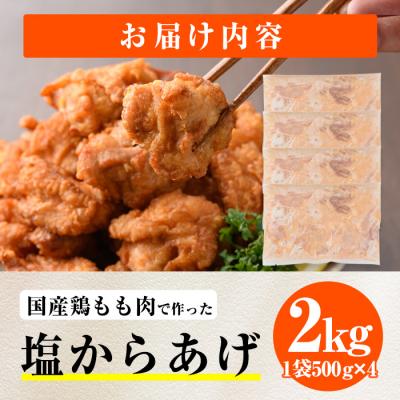 ふるさと納税 佐伯市 時短おかず 揚げるだけ やわらか!ジューシー!塩からあげ (計2kg・500g×4P) |  | 01