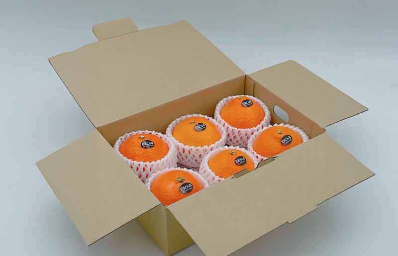 
            紅まどんな 5~6個 2L~3Lサイズ  [K002930]
          