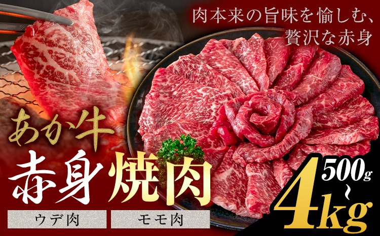 あか牛 赤身 ウデモモ 焼肉  500g 1kg 2kg 4kg《30営業日以内に出荷予定(土日祝除く)》熊本県 氷川町 牛 牛肉 和牛 ブランド牛---hkw_26_lcl_411_500g---