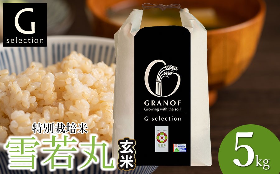 
                  【令和8年産 新米】 特別栽培米 Gセレクション 雪若丸 5kg (5kg×1袋) 【玄米】 山形県鶴岡市産　株式会社グラノフ
                