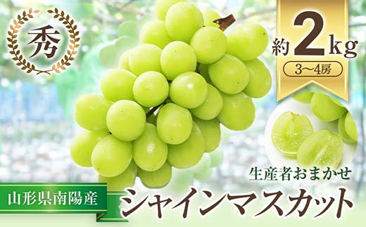 【令和7年産先行予約】 シャインマスカット 約2kg (3～4房 秀) 《令和7年9月中旬～発送》 『生産者おまかせ』 マスカット ぶどう 種なし 果物 フルーツ デザート 山形県 南陽市 [635]