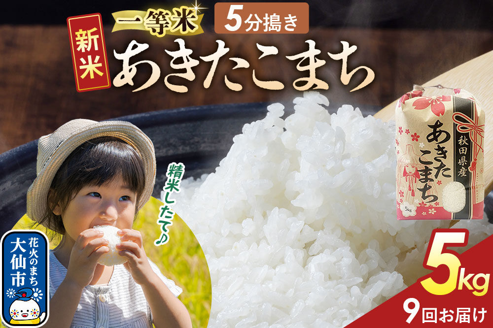 《新米》 《定期便9ヶ月》【5分搗き】あきたこまち 一等米 5kg 秋田県産 令和8年産 こまちライン 秋田県 大仙市産 [秋田 お米 米どころ あきたこまち こまちライン]