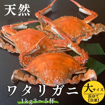 
                  浜ゆで ワタリガニ (大) 1kg 3～5杯 オスのみ 冷凍 特製 三杯酢付き セット 旬 期間限定 海鮮 魚貝 魚介 新鮮 渡り蟹 カニ 蟹 天然 まるは本館 人気 おすすめ 愛知県 南知多町 魚 海鮮 お魚 カニ お米に合う コメに合う おかず ご飯のお供 魚貝類 わたりがに ボイルワタリガニ カニ 蟹 天然かに ふるさと納税ワタリガニ ふるさと納税蟹 ふるさと納税かに わたり蟹 渡りガニ
                