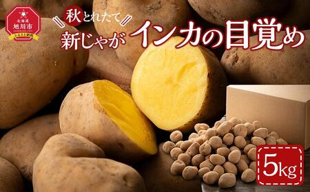 【先行予約】秋とれたて 新じゃが インカの目覚め 5kg(2025年10月発送開始予定)北海道産じゃがいも ジャガイモ  ｜ じゃがいも じゃがいも じゃがいも じゃがいも じゃがいも  _03819