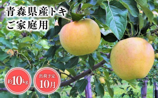 
                  2026年産 １０月発送　【訳あり】家庭用トキ10kg【青森県 平川市 そと川りんご園】１０月発送 家庭用 青森 青森県産 平川 りんご リンゴ 林檎 くだもの 果物 フルーツ 
                