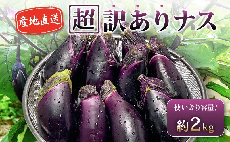 
                  【先行受付】 安田町産 「超」 訳あり ナス なす 2kg 新鮮 野菜 茄子 産地直送 季節限定 夏野菜 ふるさと納税茄子  ふるさと納税なす なすび マーボーナス 麻婆茄子 麻婆ナス フライ 天ぷら ナス 漬物 おつけもの 御御御付 おみおつけ 田楽 煮浸し にびたし 南蛮漬け カレー 高知 安田町 清流 伏流水 安田川 YM-0002
                