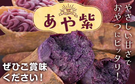 あや紫 約2kg Yataka farm《10月上旬-1月末頃出荷》岡山県 矢掛町 芋芋芋芋芋
