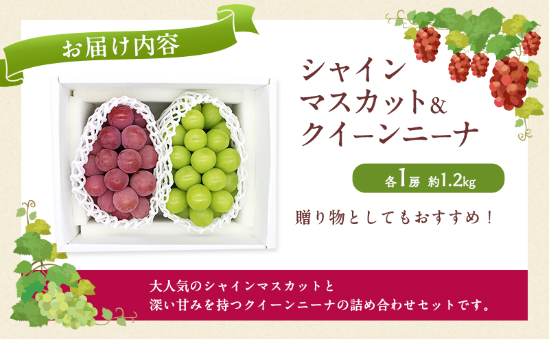 ぶどう 2025年 先行予約 シャインマスカット＆クイーンニーナ  各1房 約1.2kg ブドウ 葡萄 岡山県産 国産 フルーツ 果物 直送！せとうちバスケット