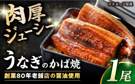 うなぎ 蒲焼 1尾 約220g～250g ▼ うなぎ 鰻 ウナギ 蒲焼 うなぎ 蒲焼き うなぎ うなぎ ウナギ 鰻 うなぎ ウナギ 鰻 人気 ウナギ うなぎ おすすめ うなぎ おいしい unagi うなぎ かばやき うなぎ 特別 贅沢 うなぎ ウナギ 鰻 ひつまぶし うなぎ ウナギ 夏 鰻 滋賀県長浜市/有限会社 千茂登[AQCU003]