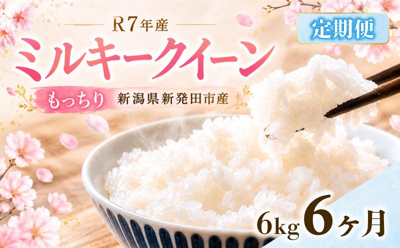 
                  【定期便】令和7年産 ミルキークイーン 6㎏（2kg×3袋）× 6か月 定期便 米 お米 ごはん 白米 佐々木耕起組合 プレゼント ギフト 贈答 定期便 新潟県 新潟産 新発田産 D44_002
                