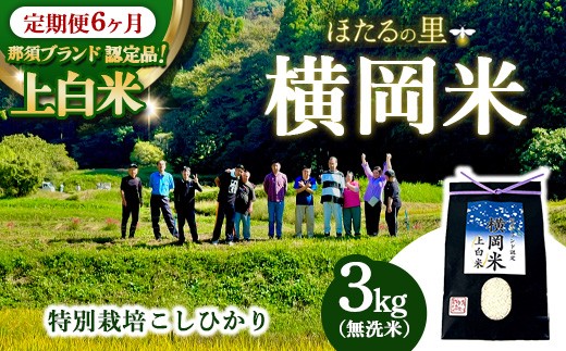 【6ヶ月定期便】特別栽培のこしひかり【横岡米】那須ブランド認定品 上白米 3kg 〔P-439〕 | 米 精米 減農薬 コメ 那須町 栃木県 ※離島への配送不可