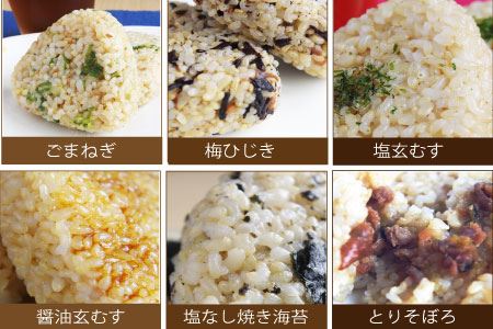  ［全5回 お届けの毎月頒布会］かんこめの玄むす　玄米おむすび20個セット×５回