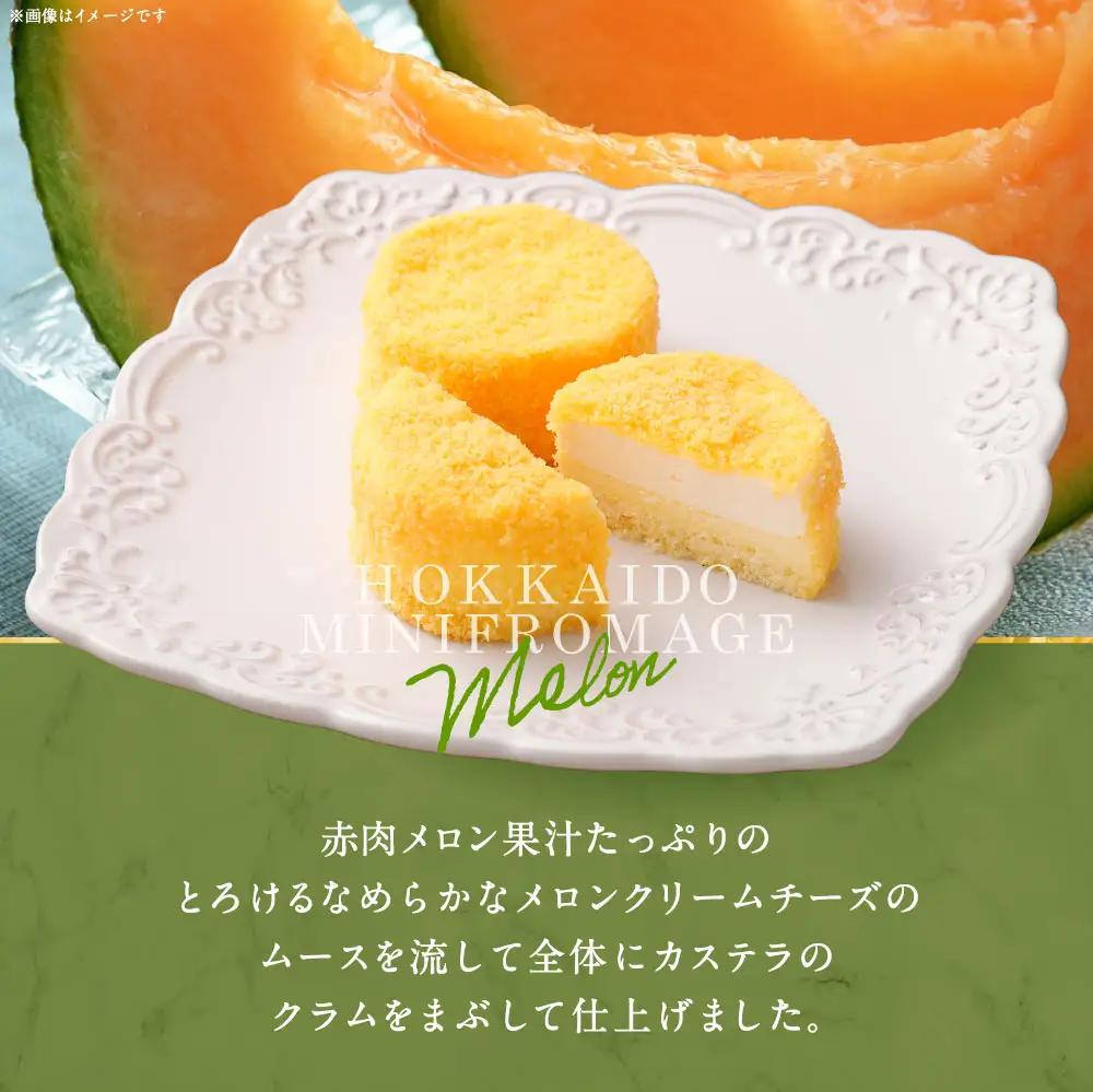 【5回定期便】 北海道ミニフロマージュ （メロン） 約900g×5回 合計約4.5kg ミニフロマージュ フロマージュ チーズケーキ ケーキ スイーツ 洋菓子 冷凍 北海道 小樽市