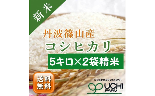 ※令和6年新米予約※　丹波篠山の大地で育まれたコシヒカリ　精米10kg