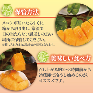 【先行受付】 メロン 訳あり 赤肉 約10kg ❘ メロン