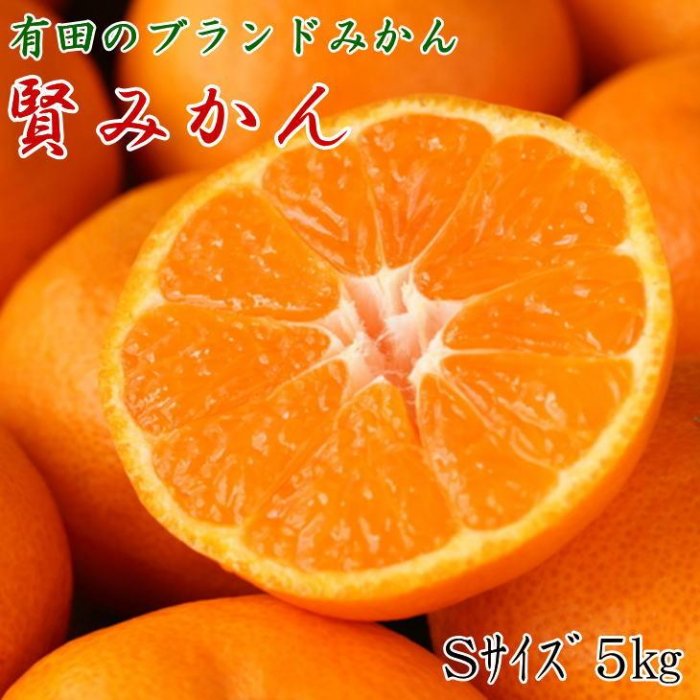 【ふるさと納税】 [秀品]有田のブランド「賢みかん」5kg(Sサイズ) 【2025年11月中旬頃より順次発送】 | 先行予約 和歌山 果物 くだもの フルーツ 柑橘 蜜柑 ブランド 取り寄せ ご当地 期間限定 【2023年11月中旬頃より順次発送】