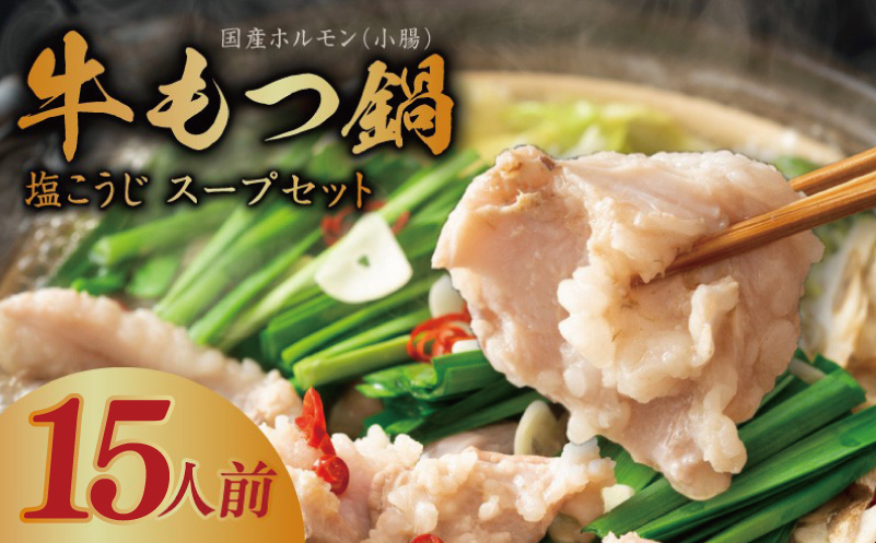 牛もつ鍋セット 15人前【国産 牛肉 ホルモン 塩こうじ スープ モツ 鍋 高評価 冷凍 鍋セット 簡単調理 大阪 泉佐野 大阪府 泉佐野市】
