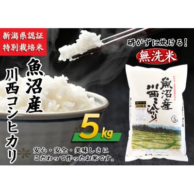 ふるさと納税 十日町市 【無洗米】 新潟県魚沼産 川西コシヒカリ  5kg　令和7年産米【10月下旬以降発送】