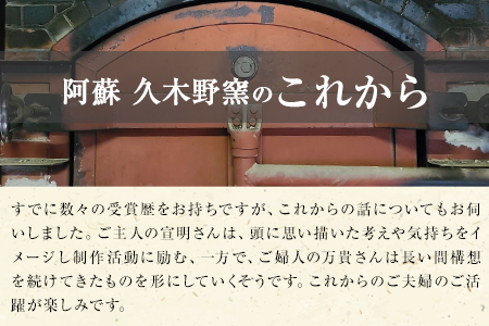 阿蘇久木野窯 ねりこみマグカップ 1個《60日以内に順次出荷(土日祝を除く)》 熊本県南阿蘇村 陶器