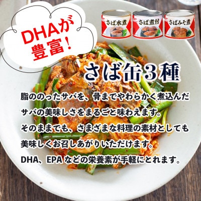 マルハニチロ さば3種(水煮、みそ煮、煮付)缶詰アソート 190g×8缶 ふるさと納税