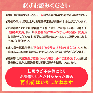 《先行受付》さくらんぼ 朝採り 大玉 紅秀峰 バラ 約500g 【2025年6月中旬以降～発送予定】022-002