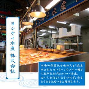 a20-231　国産うなぎ長焼き2尾(約190g～210g)