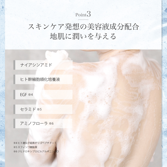 サロン・ド・オーデ モイストクリア ボディソープ つめかえ用 440ml 2個 セット 詰め替え スキンケア うるおい パウチ 液体 液体石鹸 アロインス製薬 美容 美容品 化粧品 日用品 消耗品 高