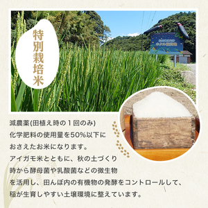 ＜新米・令和7年産＞佐田の郷の米 特別栽培米(5kg)お米 白米 ごはん ヒノヒカリ ひのひかり ブランド米 常温 常温保存【111700704】【雅設置プロジェクト　佐田の郷の会】