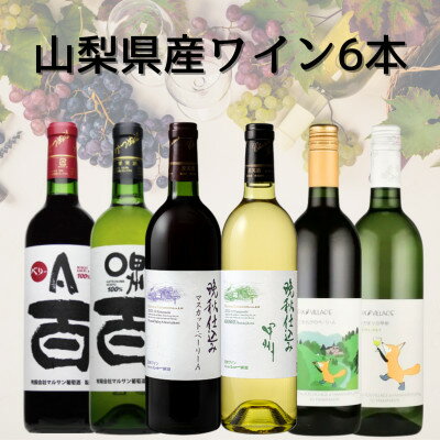 【ふるさと納税】山梨県産ワイン6本セット　043【配送不可地域：離島】【1682291】