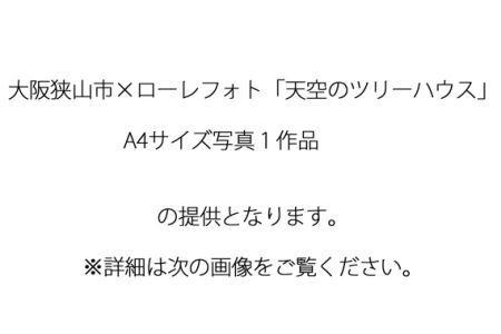 No.171 1－A4 大阪狭山市×ローレフォト 天空のツリーハウス