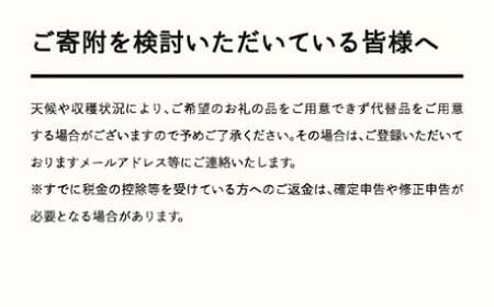 《先行予約》2024年 山形県産 「真夏のルビー紅姫」 本詰 約1kg L～2L やまのべ多田耕太郎のさくらんぼ サクランボ F20A-792