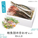 【ふるさと納税】 地魚詰め合わせセット(約4人分) 鹿児島 国産 九州産 産直 産地直送 鮮魚 新鮮 魚 海産物 お刺身 煮つけ 焼き魚【マルケイ水産】